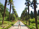 Никитский ботанический сад, пальмовая аллея
